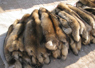 China 100% wirkliche natürliche Waschbär-Pelz-Haut-abnehmbares üppiges Weiche für Kleidungs-Haube fournisseur