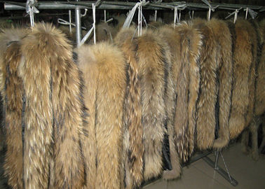 China Waschbärpelzkragen bräunte der Pelzhaut des Marderhunds wirkliches langes Haar chinesischen Waschbärpelz fournisseur
