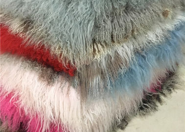 China Echter mongolischer Pelz-HauptWurfs-natürlicher Pelz-Akzent der Lamm-Wolldecken-(2' x 4') für Stuhl fournisseur