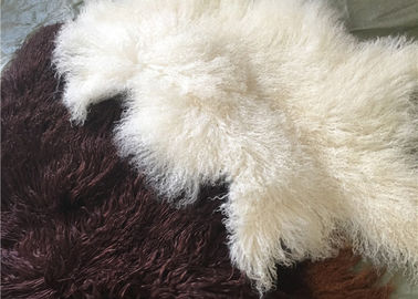 China Mongolischer Pelz lange gelockte des Schaffells materielle natürliche weiße tibetanische Lammwollversteckt sich fournisseur