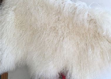 China Haar des Schaffells weiße gelockte Pelzwolldecke 100% der natürlichen langen mongolischen Lammfell-Creme fournisseur