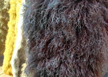 China Schaf-Pelzdecke wirkliche lange Haar Schaffells echte mongolische Lammwollgelockte fournisseur