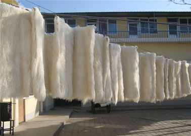 China Färbte langes Schaffell Haar der tibetanischen Lammwollwolldecke mongolischen Lammpelzplatten-Wolldeckenteppich fournisseur