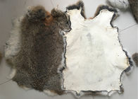 China Freundliche gebräunte Rex Kaninchen-Haut Eco 1.5-3 cm-Pelz-Länge für Hauptgewebe/Kissen Firma