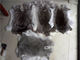 30*40cm Rex Kaninchen-Pelzwerk wärmt Weiche, Chinchilla Rex-Pelz mit natürlicher/gefärbter Farbe fournisseur