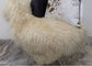 Graues langes gelocktes Haar-mongolisches Schaffell-Wolldecken-Wohnzimmer mit Größe der Fuß-2*4 fournisseur