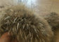 Waschbär-Pelz-Kragen-weich flaumige glatte natürliche Farbgroßer langer Kragen abnehmbar für Winter-Jacke fournisseur