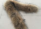 Natürliche Farbscherzt warmer Waschbär-Pelz-Kragen Eco, das für Haube freundlich ist, Parka fournisseur