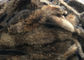 Natürlicher Farbwaschbär-Pelz-Kragen-rohe Haut ein Grad 70 - 105cm für Kleid/Hauptgewebe fournisseur