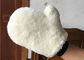 Dauerhafte wirkliche Wolle des Schaffell-Waschanlage-Handschuh-100% für Reinigungsplastik-/Metalloberfläche fournisseur