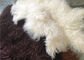 Mongolischer Pelz lange gelockte des Schaffells materielle natürliche weiße tibetanische Lammwollversteckt sich fournisseur