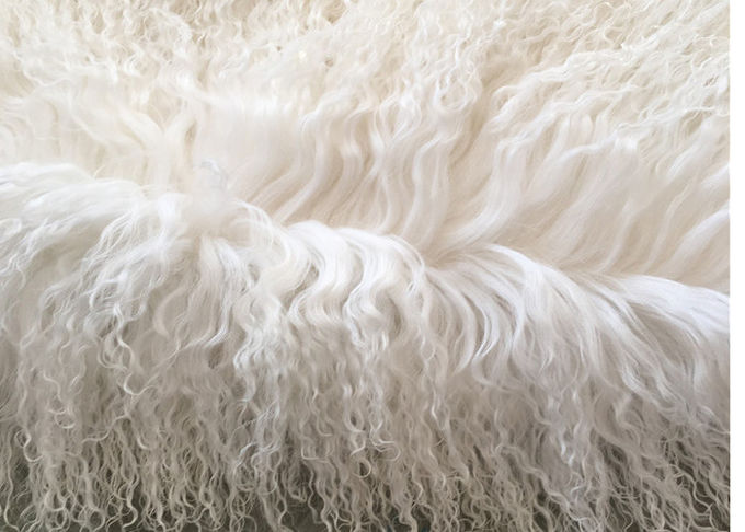 Haar des Schaffells weiße gelockte Pelzwolldecke 100% der natürlichen langen mongolischen Lammfell-Creme