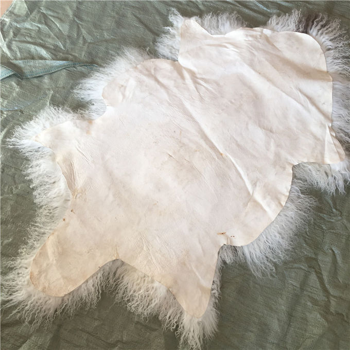 Mongolischer Pelz lange gelockte des Schaffells materielle natürliche weiße tibetanische Lammwollversteckt sich