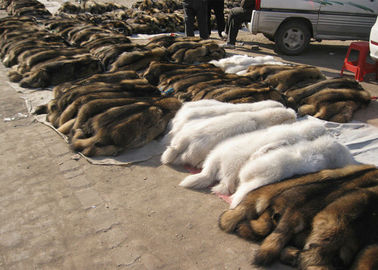 China Natürliche Form-wirkliche Waschbär-Pelz-Hauben-Ordnung, gebräunter Haut-Schwarz-Pelz-Mantel-Kragen  fournisseur