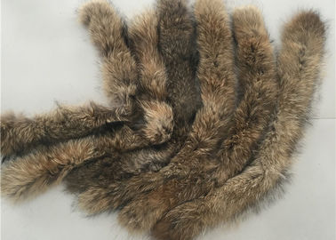 China Mantel-echter großer Waschbär-Pelz-Kragen-warmes Weiche mit natürlicher Brown-Farbe fournisseur