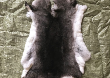 China Hellgrauer Rex-Kaninchen-Pelz-Hals-Wärmer, wirkliches Rex-Kaninchen bewirft Haut für Platten-Decke fournisseur