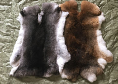China Gebräunter Gras Rex-Kaninchen-Haut-Pelz fertigte Größe für Zusätze/Kleidung besonders an fournisseur