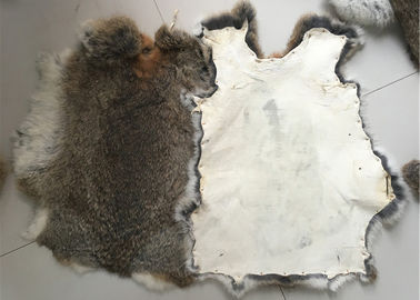 China Freundliche gebräunte Rex Kaninchen-Haut Eco 1.5-3 cm-Pelz-Länge für Hauptgewebe/Kissen fournisseur