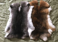 China Gebräunter Gras Rex-Kaninchen-Haut-Pelz fertigte Größe für Zusätze/Kleidung besonders an Firma