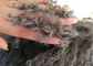 Wohnzimmer 16 Zoll-mongolisches Pelz-Kissen-langes gelocktes Haar mit Mikroveloursleder-Futter fournisseur