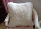 Shearlings-Schaffell-Lammwoll-Seat-Kissen-Doppeltes versah für das dekorative Bett/Sofa mit Seiten fournisseur