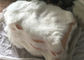 Schwere Dichte-weiche australische Schaffell-Wolldecken-fertigte einzelnes Haut-Quadrat/Größe besonders an fournisseur