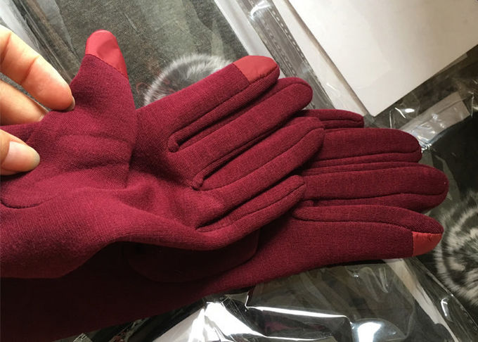 Die Handschuhe der Winter-Frauen mit Touch Screen Fingerspitzen, weiche Handschuhe für Handy-Gebrauch 