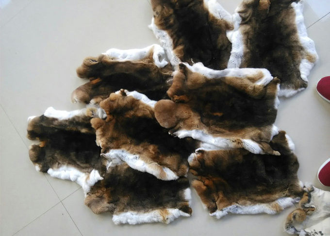 Natürliche weiche flaumige Rex-Kaninchen-Haut 12 x 15 Zoll für die Herstellung von Sitzüberzügen