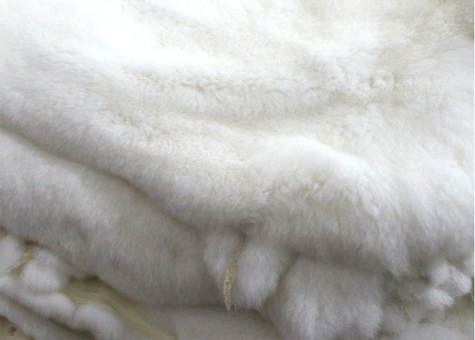 Wirkliche gebräunte Rex Kaninchen-Haut SGS mit 2-2.8cm Haar-Längen-Winter-Entwurf