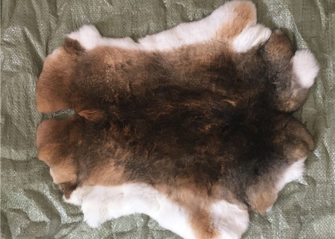 Mantel, der ganze Rex-Kaninchen-Haut-wirkliche weiche flaumige schwere Dichte für Winter zeichnet