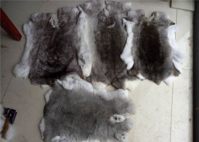 Mantel, der ganze Rex-Kaninchen-Haut-wirkliche weiche flaumige schwere Dichte für Winter zeichnet