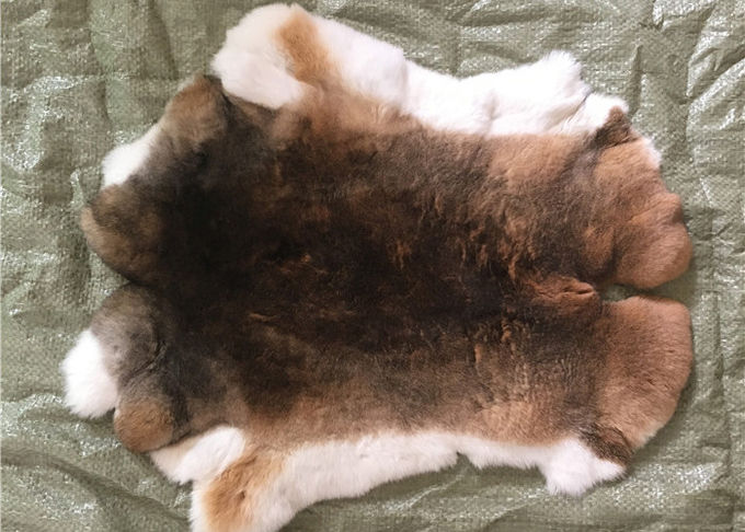Natürlicher Chinchilla Rex-Kaninchen-Pelz, weiches echtes geschorenes Kaninchen-Pelz-Jacken-Fell