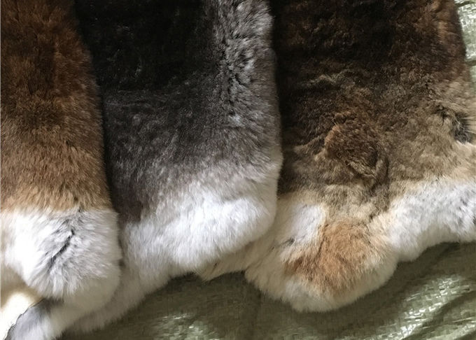 Freundliche gebräunte Rex Kaninchen-Haut Eco 1.5-3 cm-Pelz-Länge für Hauptgewebe/Kissen