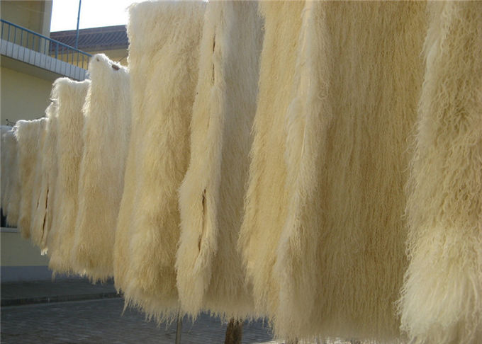 Langes Schafpelzkissen tibetanisches Lammwollpelz Wurfs-Kissen des Haares gelocktes mongolisches